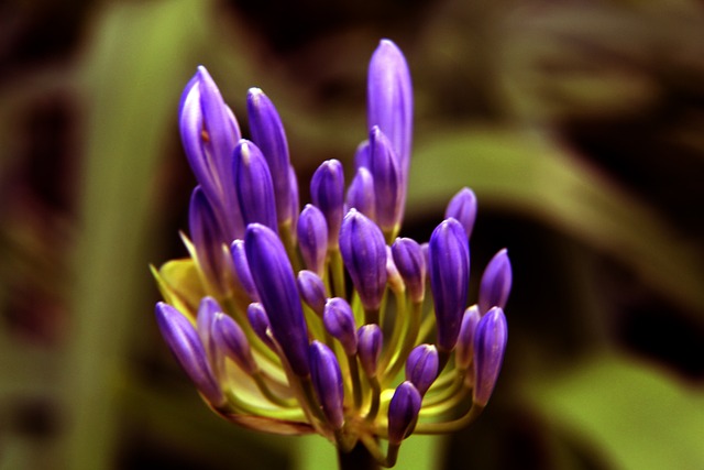 通的引援 通的引援