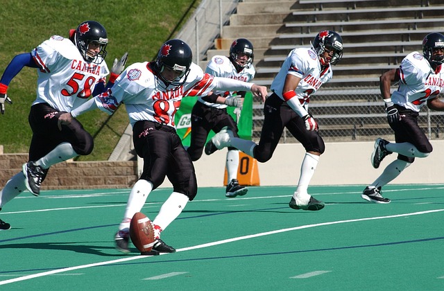 球技完全主 球技完全主